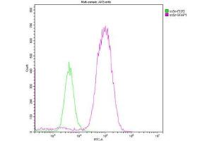 Overlay histogram showing SH-SY5Y cells stained with ABIN7153847 (red line).