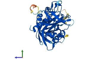 AlphaFold protein structure predicition of Mouse Recombinant Nudt17 Protein, UniprotID Q9CWD3
