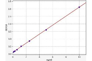 Typical standard curve (Neuroligin 3 Kit ELISA)
