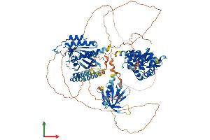 AlphaFold protein structure predicition of Mouse Recombinant Agap3 Protein, UniprotID Q8VHH5