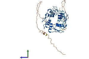 AlphaFold protein structure predicition of Human Recombinant ZNF696 Protein, UniprotID Q9H7X3