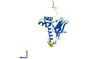 AlphaFold protein structure predicition of Human Recombinant SOCS1 Protein, UniprotID O15524