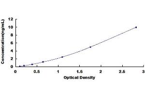 CASP8 and FADD-Like Apoptosis Regulator (CFLAR) ELISA Kit
