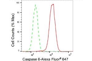 Flow cytometric analysis of Caspase 6 expression in HT- cells using Caspase 6 antibody (ABIN7797901), 1:2,000). (Recombinant Caspase 6 anticorps)