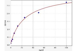 Met Proto-Oncogene (MET) ELISA Kit
