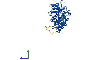 AlphaFold protein structure predicition of Mouse Recombinant Trmu Protein, UniprotID Q9DAT5