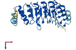 AlphaFold protein structure predicition of Human Recombinant AMN1 Protein, UniprotID Q8IY45
