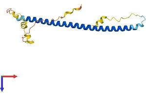 AlphaFold protein structure predicition of Mouse Recombinant Jdp2 Protein, UniprotID P97875