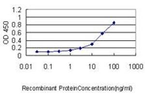 Detection limit for recombinant GST tagged MOAP1 is approximately 1ng/ml as a capture antibody. (MOAP1 anticorps  (AA 1-351))