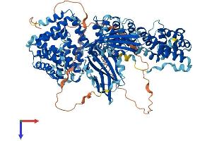 AlphaFold protein structure predicition of Human Recombinant AP2A1 Protein, UniprotID O95782