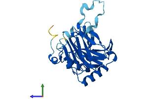 AlphaFold protein structure predicition of Mouse Recombinant Alkbh6 Protein, UniprotID Q8K2U2
