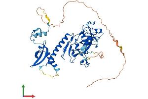 AlphaFold protein structure predicition of Mouse Recombinant Suv39h2 Protein, UniprotID Q9EQQ0