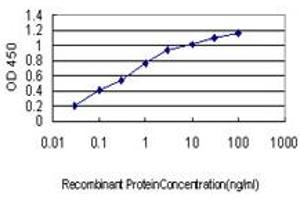 Detection limit for recombinant GST tagged AURKB is approximately 0. (Aurora Kinase B anticorps  (AA 1-90))