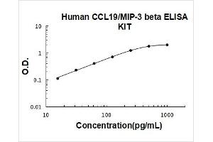 Chemokine (C-C Motif) Ligand 19 (CCL19) ELISA Kit