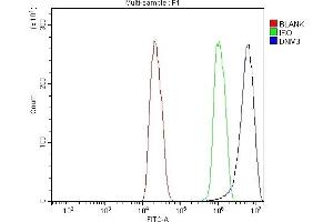 Flow Cytometry analysis of C6 cells using anti-Dynamin 3/DNM3 antibody (ABIN7601163). (Dynamin 3 anticorps  (AA 295-712))