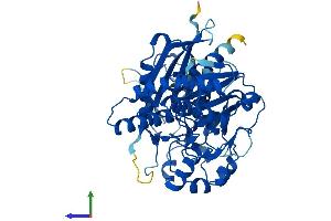 AlphaFold protein structure predicition of Human Recombinant SHPK Protein, UniprotID Q9UHJ6