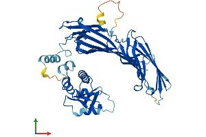 AlphaFold protein structure predicition of Mouse Recombinant Ap2m1 Protein, UniprotID P84091