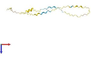 AlphaFold protein structure predicition of Human Recombinant LINC01465 Protein, UniprotID Q8N7H1
