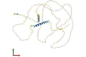 AlphaFold protein structure predicition of Human Recombinant SDC3 Protein, UniprotID O75056