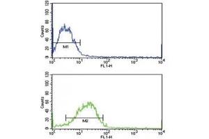 SMAD4 antibody flow cytometric analysis of MCF-7 cells (bottom histogram) compared to a negative control (top histogram). (SMAD4 anticorps  (AA 400-428))