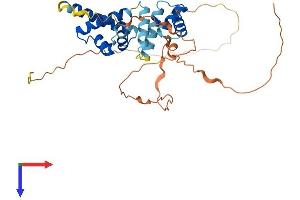 AlphaFold protein structure predicition of Human Recombinant POU5F2 Protein, UniprotID Q8N7G0