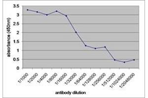 Image no. 1 for anti-V5 Epitope Tag antibody (ABIN7472931) (V5 Epitope Tag anticorps)