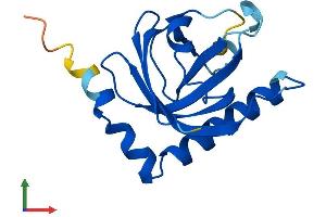 AlphaFold protein structure predicition of Mouse Recombinant Rfk Protein, UniprotID Q8CFV9