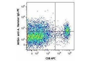 Flow Cytometry (FACS) image for anti-V-type immunoglobulin domain-containing suppressor of T-cell activation (VISTA) antibody (ABIN2665323)