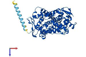 AlphaFold protein structure predicition of Mouse Recombinant Cyp2a4 Protein, UniprotID P15392