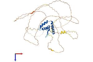 AlphaFold protein structure predicition of Human Recombinant SOX4 Protein, UniprotID Q06945
