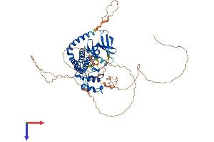 AlphaFold protein structure predicition of Mouse Recombinant Cdkl2 Protein, UniprotID Q9QUK0