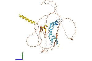 AlphaFold protein structure predicition of Mouse Recombinant Klf12 Protein, UniprotID O35738