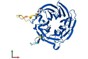 AlphaFold protein structure predicition of Mouse Recombinant Rae1 Protein, UniprotID Q8C570
