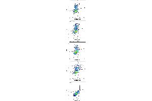Flow cytometry surface staining patterns of non-transfected HEK-293 cells and HEK-293 cells transfected with KIR-family coding plasmids co-transfected with YFP coding plasmid using anti-human CD158z (CH21) APC antibody (concentration in sample 10 μg/mL).