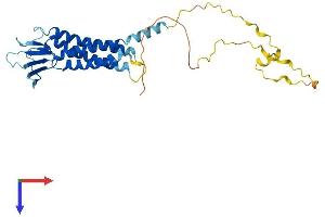 AlphaFold protein structure predicition of Human Recombinant CLDN23 Protein, UniprotID Q96B33