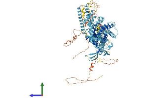 AlphaFold protein structure predicition of Human Recombinant TRPV4 Protein, UniprotID Q9HBA0