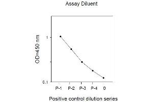 Image no. 1 for V-Akt Murine Thymoma Viral Oncogene Homolog 1 (AKT1) ELISA Kit (ABIN625220) (AKT1 Kit ELISA)