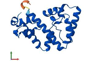 AlphaFold protein structure predicition of Human Recombinant URAD Protein, UniprotID A6NGE7