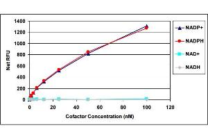 NADP+ Standard Curve and Specificity of Assay for NADP+ and NADPH. (NADP+/NADPH Assay Kit (Fluorometric))