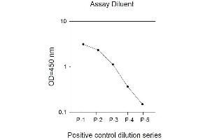 Image no. 2 for Epidermal Growth Factor Receptor (EGFR) ELISA Kit (ABIN625237) (EGFR Kit ELISA)