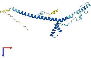 AlphaFold protein structure predicition of Mouse Recombinant Fam228b Protein, UniprotID Q497Q6