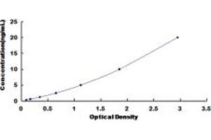 Typical standard curve (PTPN11 Kit ELISA)