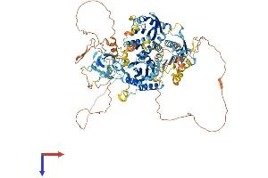 AlphaFold protein structure predicition of Mouse Recombinant Intu Protein, UniprotID Q059U7