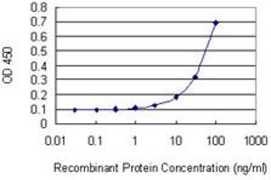 Detection limit for recombinant GST tagged UBE2O is 3 ng/ml as a capture antibody. (UBE2O anticorps  (AA 361-470))