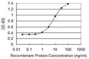 Detection limit for recombinant GST tagged KLHL1 is 0.