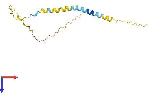 AlphaFold protein structure predicition of Mouse Recombinant Bex1 Protein, UniprotID Q9R224