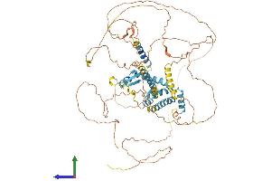 AlphaFold protein structure predicition of Mouse Recombinant Akap8 Protein, UniprotID Q9DBR0