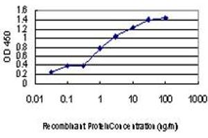 Detection limit for recombinant GST tagged CDC2L5 is approximately 0.