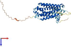 AlphaFold protein structure predicition of Mouse Recombinant Mc3r Protein, UniprotID P33033