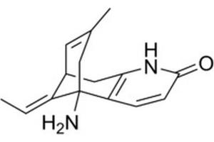 Chemical structure of Huperzine A , a ACH inhibitor.